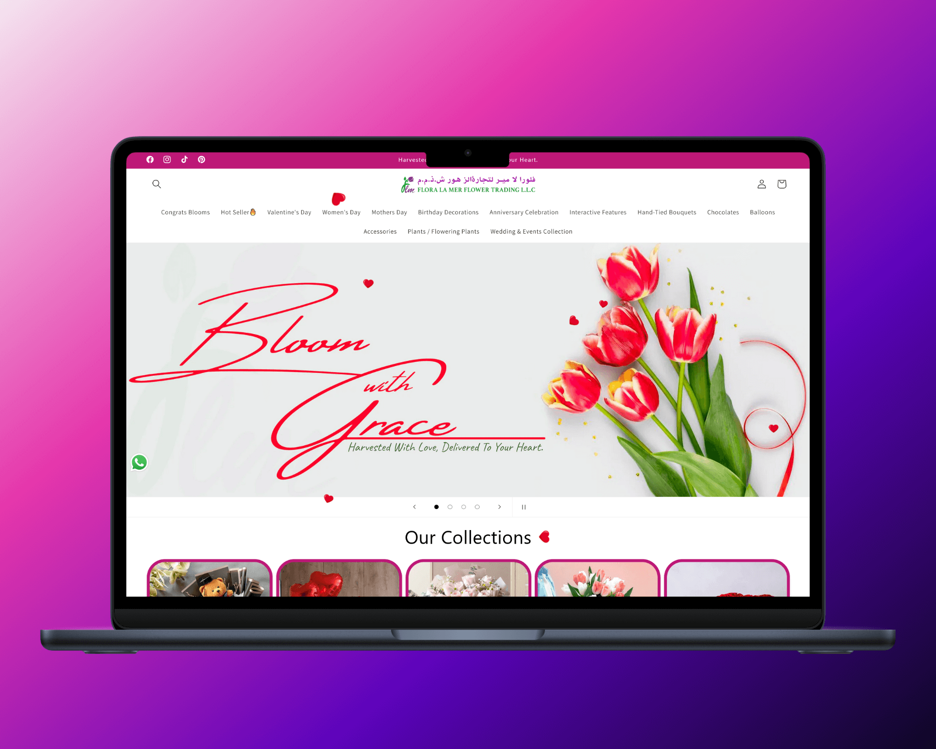 Personal Portfolio Images